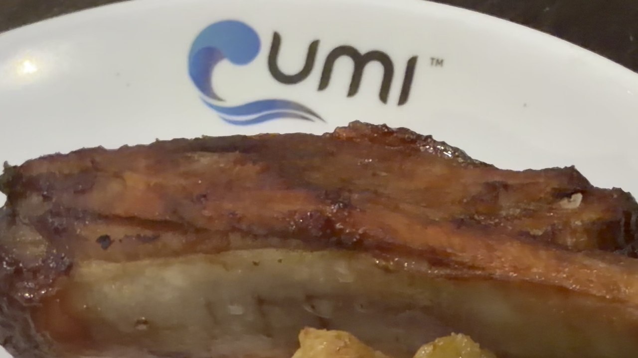 July 7, 2026 - UMI Sushi & Seafood Buffet Culinary Arts Restaurant 2