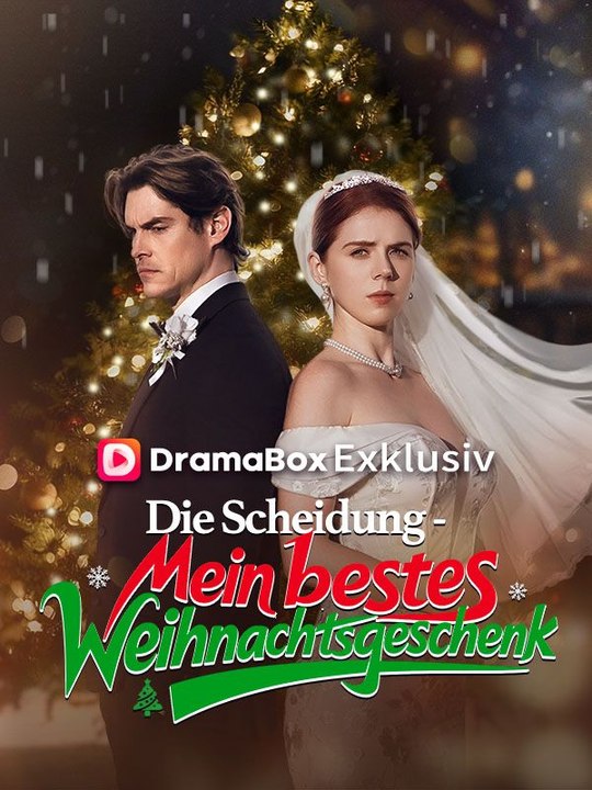 Die Scheidung ist mein bestes Weihnachtsgeschenk | Das Minidrama | Delust Language