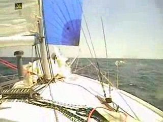 Surf sous spi sur le Pogo 2 Black Mamba 529