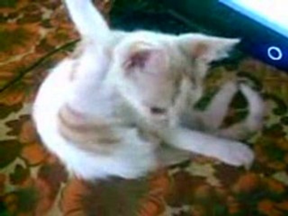 RIFKI ve BACAK OMUZDA BANYO