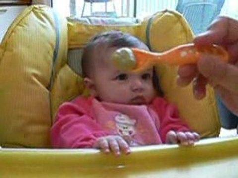 Premier pot de légumes (courgettes) pour Rose