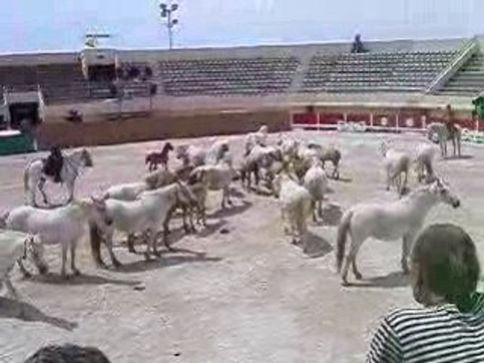 Chx ds arènes