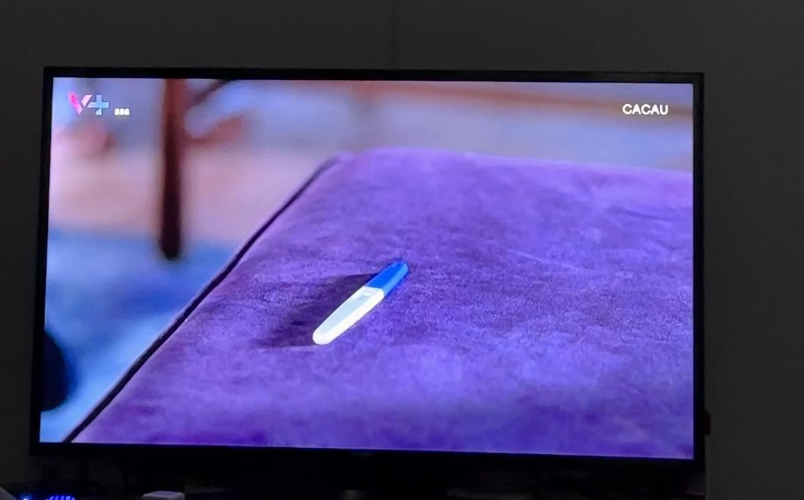 Cacau