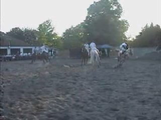 Equidourstables. be : Portes Ouvertes 2008