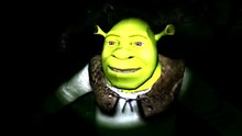 SWAMP SIMULATOR: THE FINAL ONION