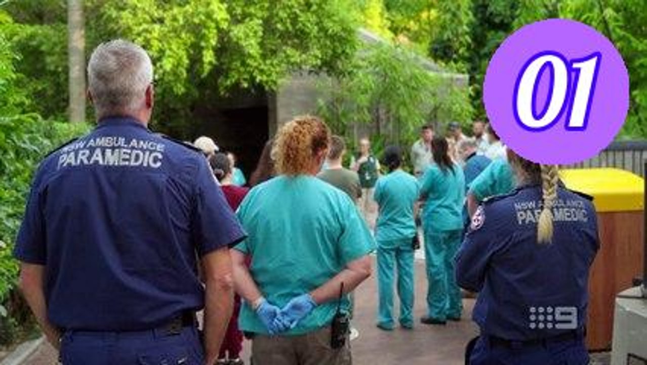 Taronga whos who in the zoo Season 06 Episode 1 Engsub