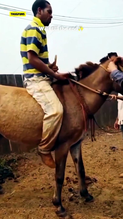 Funny fails | Meme Shorts Gone WILD! 😂🔥 Instant Laughs