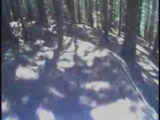 Les 7 laux piste rouge ds les bois part 2