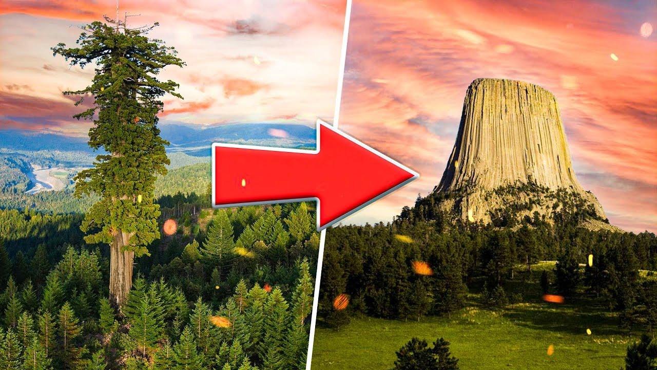 They've Been Watching Us for Thousands of Years—What Do We Really Know About Them?