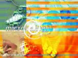 3D Animation Studio |  Science Centre | Mediafreaks