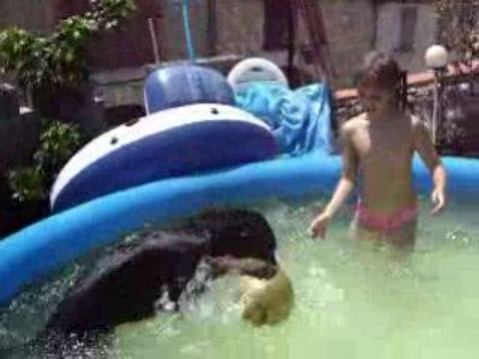 caly le 1 07 2008