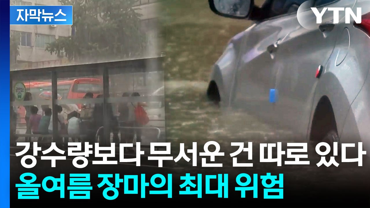 [자막뉴스] '113년 관측'이 보여준 충격 변화...비가 완전히 달라졌다 / YTN