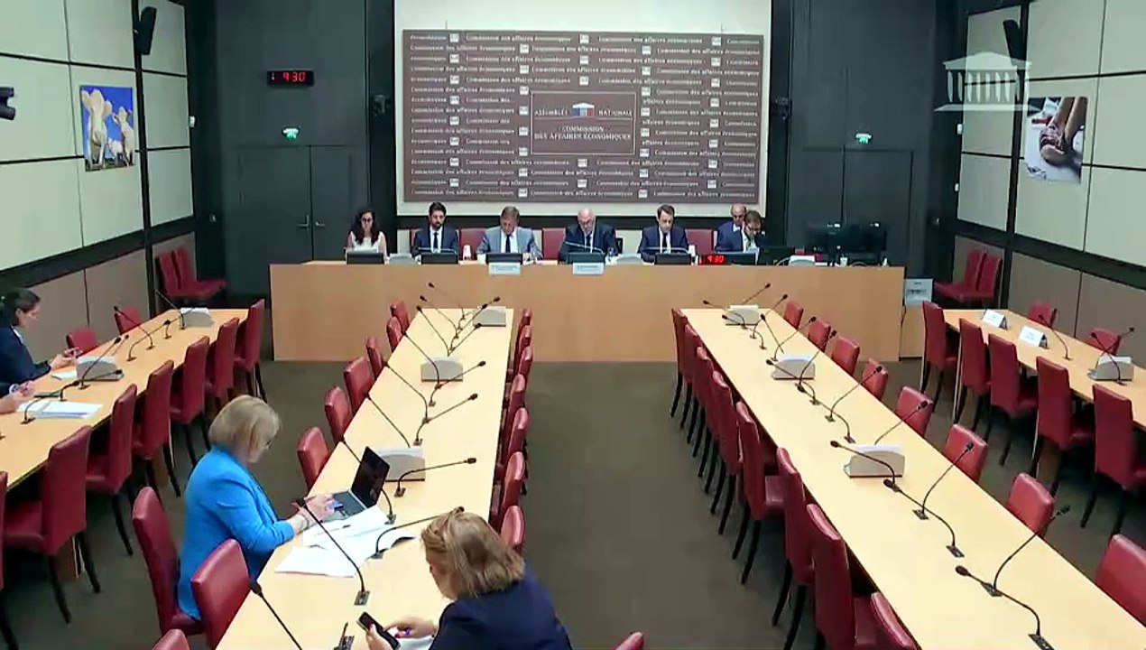 Commission des affaires économiques : M. Jean-Christophe Repon, président de la Confédération de l'artisanat et des petites entreprises du bâtiment (Capeb) - Mardi 7 juillet 2026