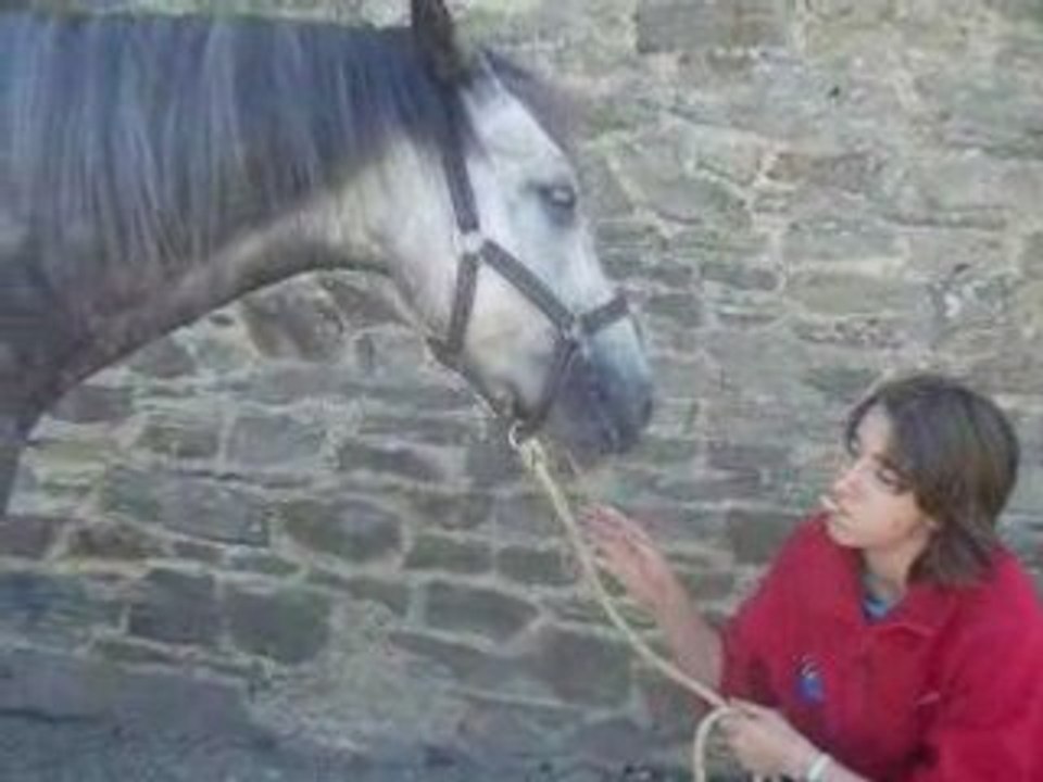 Séance bisou avec Orgueilleux ...
