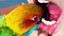 Mind-Blowing Parrot Facts You NEVER Knew! 🦜😱 The Smartest Birds on Earth