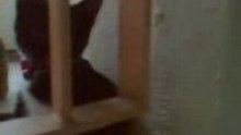 Sitting down kat