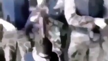 Video Meme (1011)
