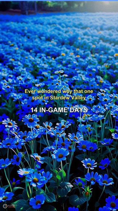 Stardew Valley's Secret That Takes 14 Days to Find