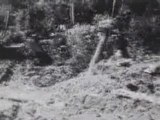 1920 Forestry Logging Equipment Film: Felling Forest Giants