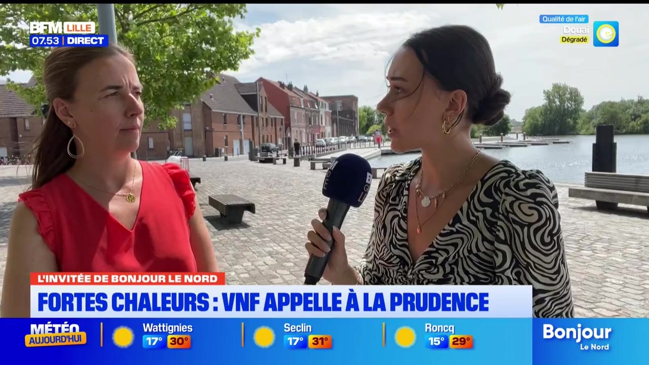 L'invitée de Bonjour Lille du mercredi 8 juillet 2026 - Élise Dubois