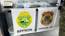Homem é preso com quase 10 quilos de skunk em ônibus abordado em Cascavel
