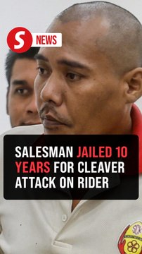 Road rage horn dispute ends in 10-year jail term for highway attacker