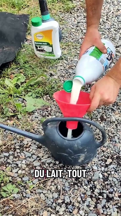 La solution contre le CUL NOIR