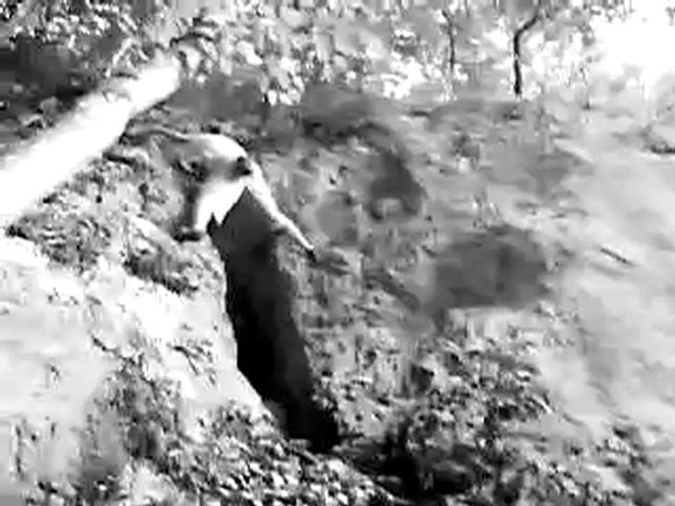 escalade Plaisir du soir site le rocher du roi aix les bains