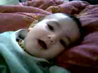 Esteban la petite bébéte qui monte
