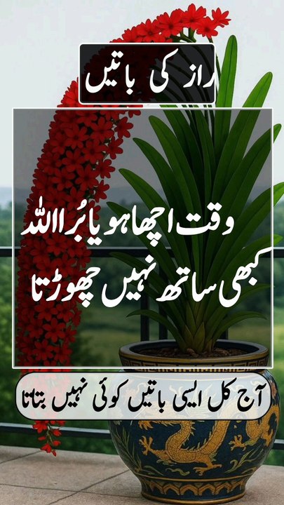 How to get Islamic paheliyan Urdu question