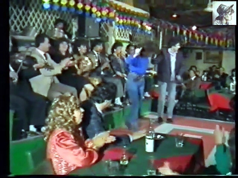 Η αεροσυνοδός (1988)