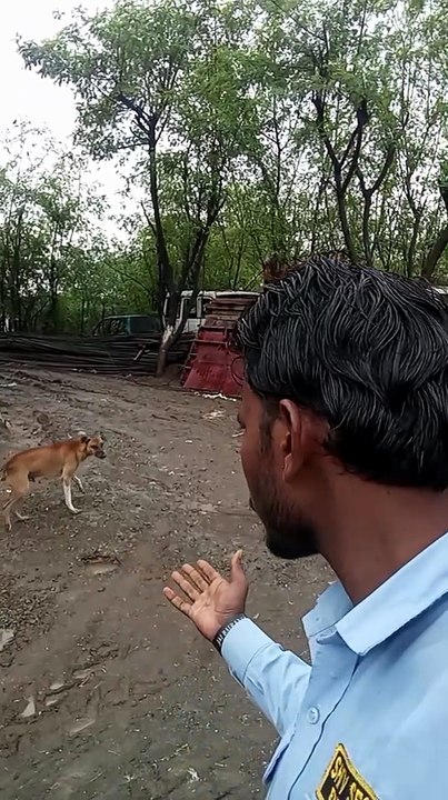 Dog ke pas ja raha hai