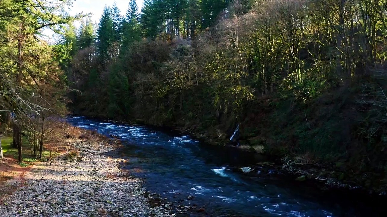 Bodies in the Water - Season 1 Episode 6 -Blood in the River
