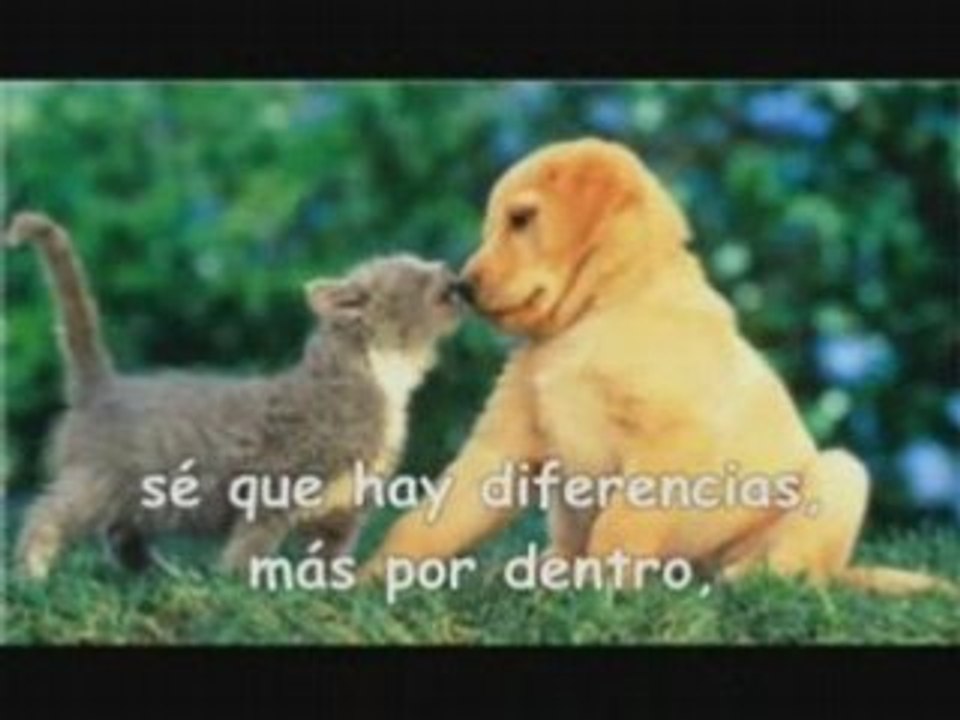 CUIDALO CON TODOSANIMALES