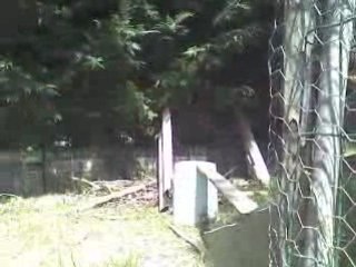 Daisirée & Princesse sautent 50 cm