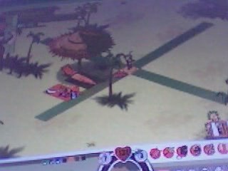 zeldus dofus cra lvl 22