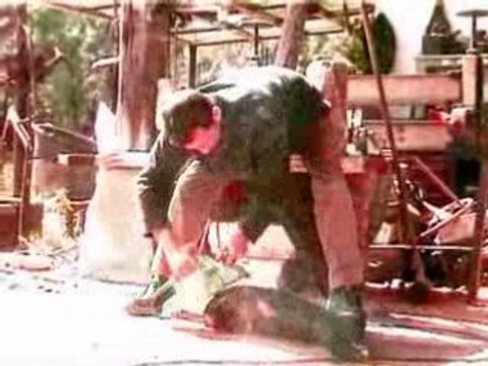 Transfusions de Phil