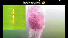 The post shares an underwater video of a fish expertly nibbling a large clump of bait off a fishing