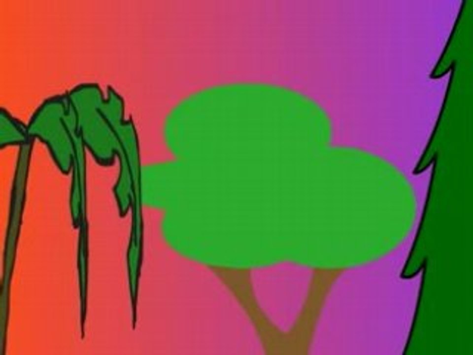 Birds animation