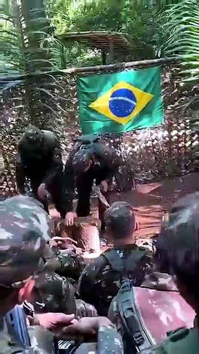 Você sabia que dá para usar esse cipó como corda? Aprenda!