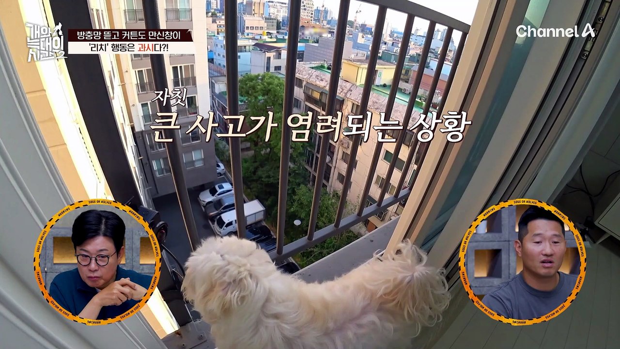 "몰라서 무는 거니까 혼내진 않아요" 방치하는 보호자 앞에서 방충망 뜯어버리는 '과시욕구' 리치!