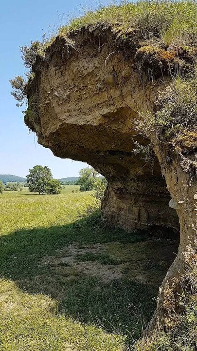 I build cozy hobit house under dirt overhang