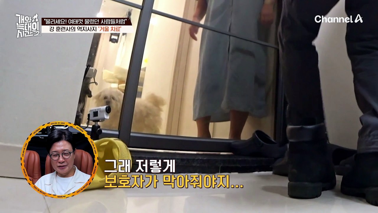 "보호자님, 물리세요! 여태껏 물렸던 사람들처럼" 강 훈련사의 '거울 치료'