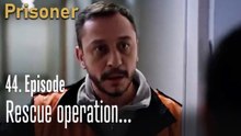 Rescue operation...-Episode 44