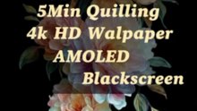 5-Minute Quilled Flower Wallpaper 🌸 4K UHD | AMOLED Black Screen | Relaxing Floral Background