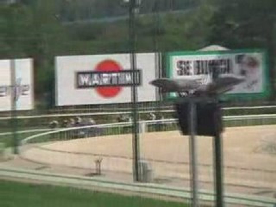 2008 (185) Premio BANG & OLUFSEN (H) (AMELIE BROWN)