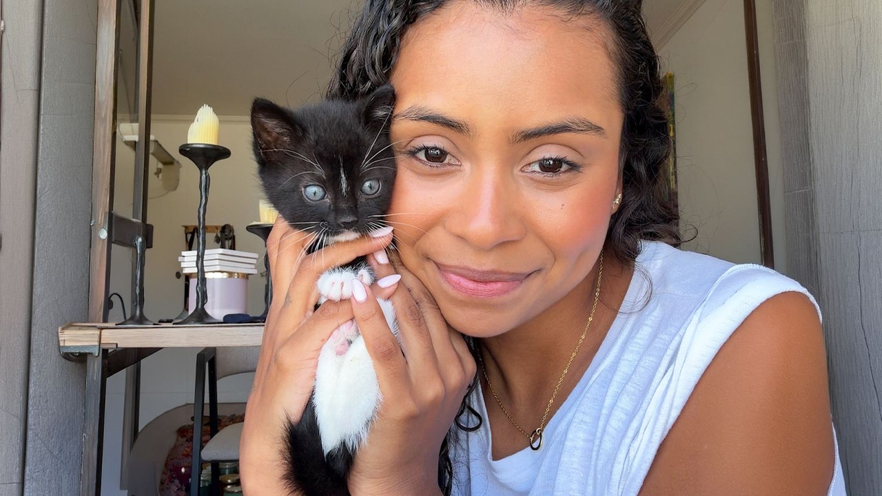 Boyfriend Has Best Reaction To Surprise Foster Kittens