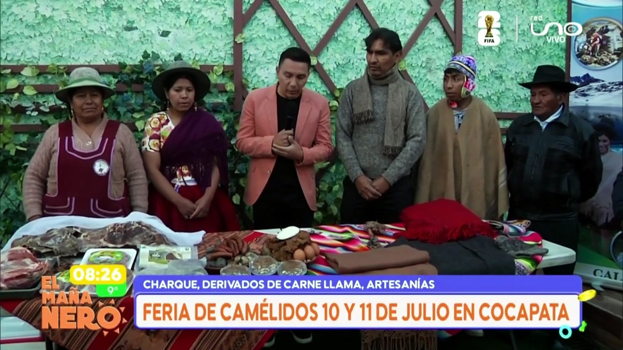feria camélidos
