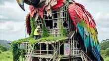 Amazing Parrot House Restoration | Incredible Transformation! 🦜🏡