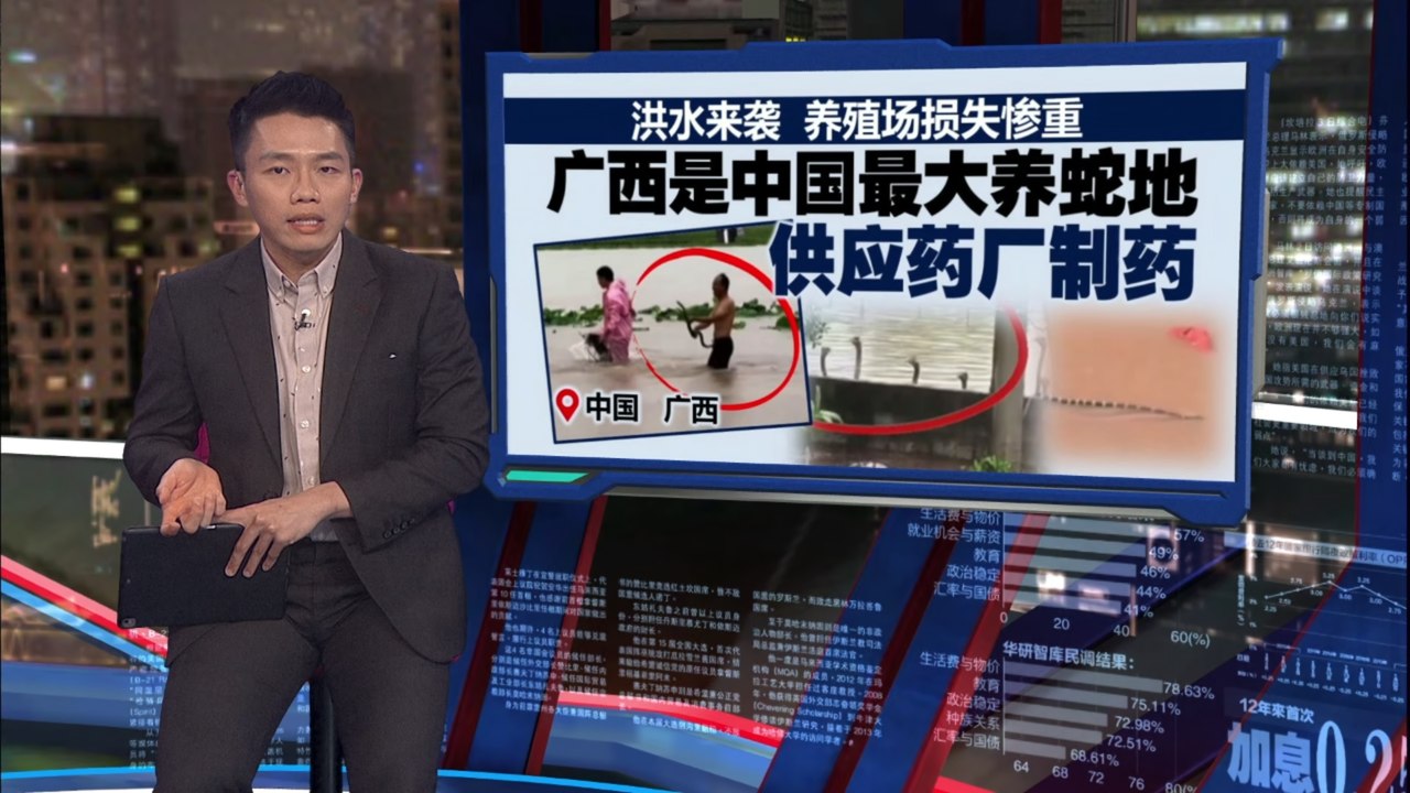 广西爆发大洪灾   近千蛇逃窜咬死人